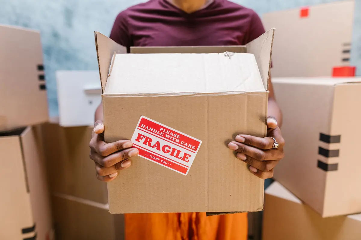 Ein stabiler Karton wird mit beiden Händen durch den Wohnraum getragen